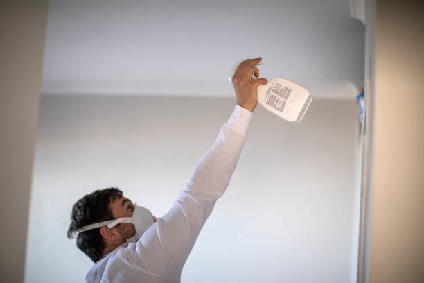 Best Mold Testing and Inspection Services in Keller, TX